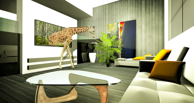 house cleaning living